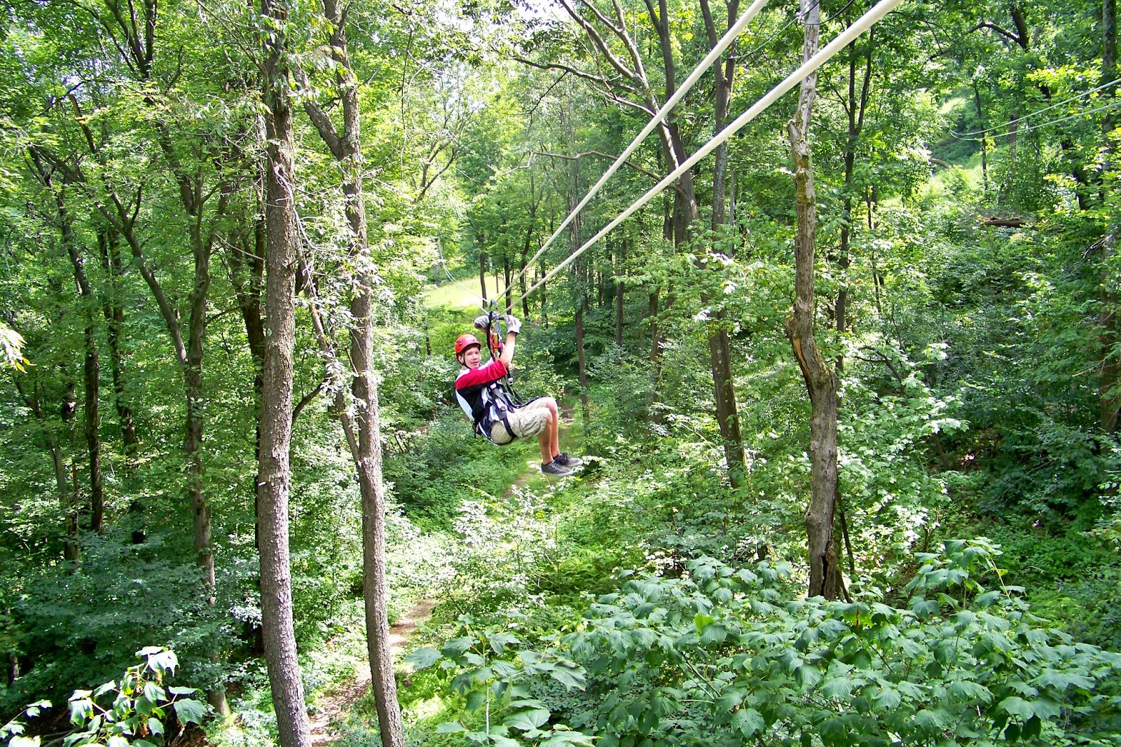 A visit to a travel agency is nothing to write home about, but r. Dave Kathy 2011 2021 Screaming Hawk Laurel Ridge Canopy Tour Zip Lines August 2013