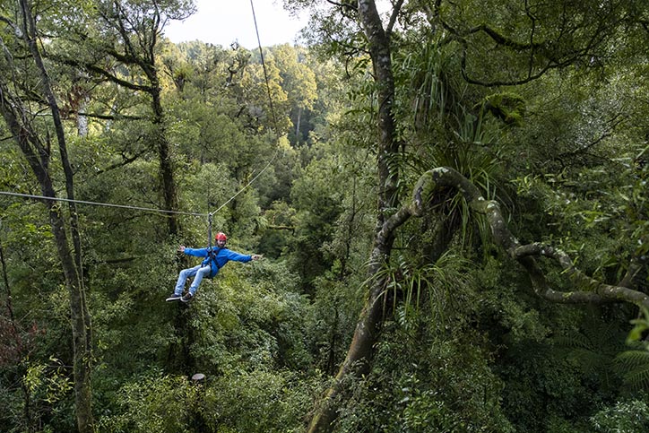 20+ Exploring Rotorua Canopy Tours Ultimate Excursion